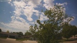 Web Cam Image - Tue, 05/26/2026 1:08pm CDT