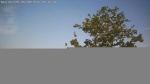 Web Cam Image - Thu, 06/04/2026 5:55am CDT