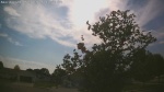 Web Cam Image - Sun, 05/31/2026 4:55pm CDT