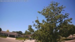 Web Cam Image - Wed, 06/10/2026 12:44pm CDT