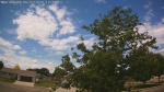 Web Cam Image - Mon, 06/22/2026 11:05am CDT