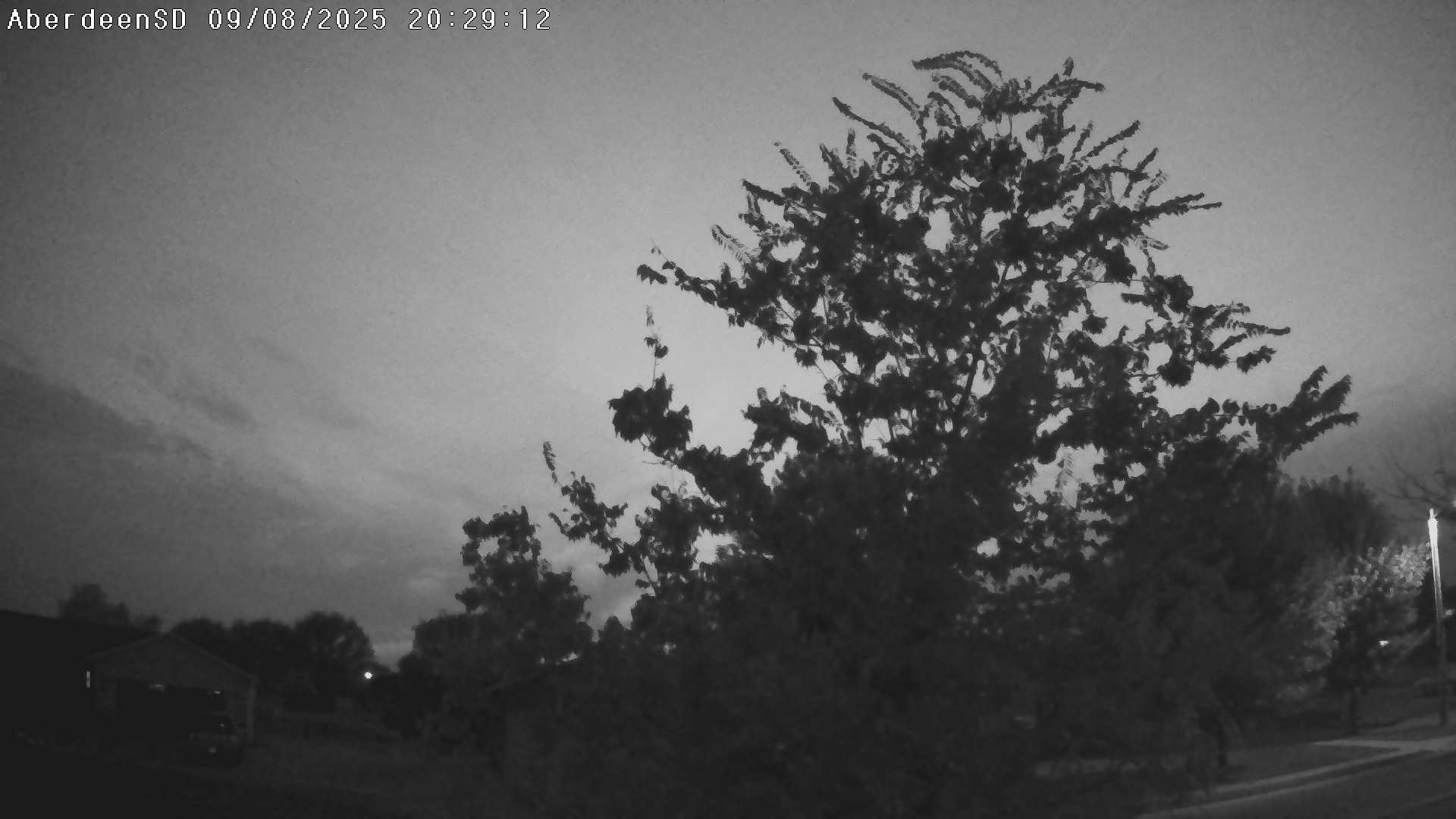 Web Cam History Image - 131