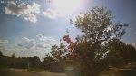 Web Cam Image - Wed, 05/27/2026 4:34pm CDT