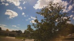 Web Cam Image - Tue, 06/23/2026 2:34pm CDT