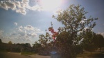 Web Cam Image - Wed, 05/27/2026 4:29pm CDT