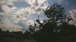 Web Cam Image - Tue, 06/02/2026 4:13pm CDT