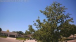 Web Cam Image - Wed, 06/10/2026 12:40pm CDT
