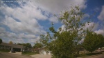 Web Cam Image - Sat, 05/23/2026 11:31am CDT