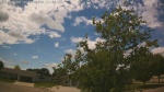 Web Cam Image - Wed, 06/03/2026 1:52pm CDT