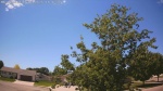 Web Cam Image - Wed, 06/10/2026 12:38pm CDT