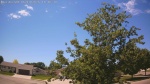 Web Cam Image - Wed, 06/10/2026 12:37pm CDT