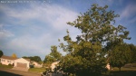 Web Cam Image - Fri, 06/19/2026 5:37am CDT