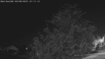 Web Cam Image - Thu, 09/04/2025 1:58pm CDT