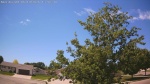 Web Cam Image - Wed, 06/10/2026 12:34pm CDT