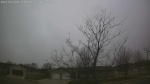 Web Cam Image - Thu, 04/09/2026 10:56am CDT