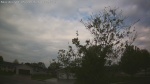 Web Cam Image - Thu, 05/21/2026 8:08am CDT
