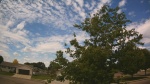 Web Cam Image - Mon, 06/22/2026 10:53am CDT