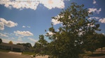 Web Cam Image - Tue, 06/23/2026 2:23pm CDT