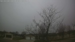 Web Cam Image - Thu, 04/09/2026 10:55am CDT