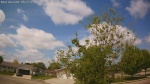 Web Cam Image - Sat, 05/23/2026 11:22am CDT