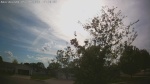Web Cam Image - Sun, 05/24/2026 4:50pm CDT