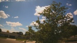 Web Cam Image - Tue, 06/23/2026 2:22pm CDT