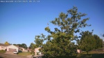 Web Cam Image - Mon, 06/30/2025 9:46pm CDT