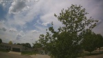 Web Cam Image - Thu, 05/28/2026 12:53pm CDT