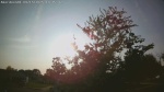 Web Cam Image - Mon, 09/15/2025 4:14pm CDT