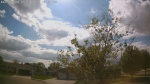 Web Cam Image - Tue, 05/19/2026 4:29pm CDT