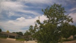Web Cam Image - Sun, 06/07/2026 12:34pm CDT