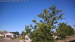 Web Cam Image - Tue, 07/01/2025 1:58am CDT