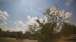 Web Cam Image - Sat, 05/23/2026 3:31pm CDT