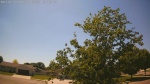 Web Cam Image - Sat, 06/06/2026 2:19pm CDT