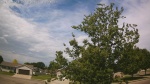 Web Cam Image - Sat, 06/13/2026 10:13am CDT