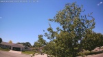 Web Cam Image - Sun, 06/14/2026 12:34pm CDT