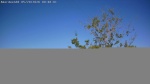 Web Cam Image - Wed, 05/20/2026 9:01am CDT