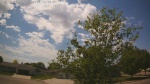 Web Cam Image - Tue, 05/26/2026 1:04pm CDT