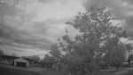 Web Cam Image - Fri, 06/05/2026 4:25am CDT