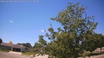 Web Cam Image - Sun, 06/14/2026 12:32pm CDT