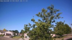 Web Cam Image - Tue, 07/01/2025 1:53am CDT