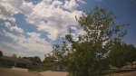 Web Cam Image - Tue, 05/26/2026 1:02pm CDT