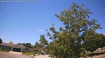 Web Cam Image - Sun, 06/14/2026 12:31pm CDT