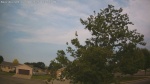 Web Cam Image - Wed, 07/01/2026 7:25am CDT