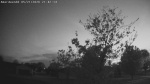 Web Cam Image - Thu, 05/21/2026 9:14pm CDT