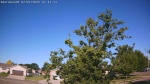 Web Cam Image - Tue, 07/01/2025 1:52am CDT