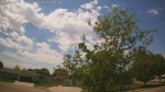 Web Cam Image - Tue, 05/26/2026 1:01pm CDT