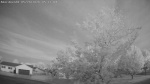 Web Cam Image - Thu, 05/28/2026 4:29am CDT