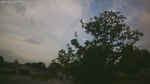 Web Cam Image - Sun, 05/31/2026 6:25am CDT