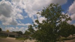 Web Cam Image - Fri, 06/05/2026 12:19pm CDT